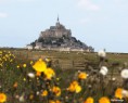/album/saint-michel-et-son-mont-/fleur-floue-jpg/